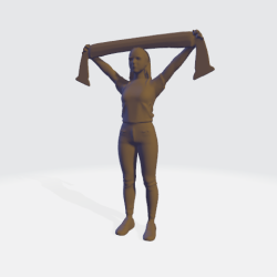 Scarf Holders
